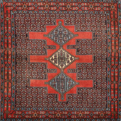 Southwestern Indoor Rug