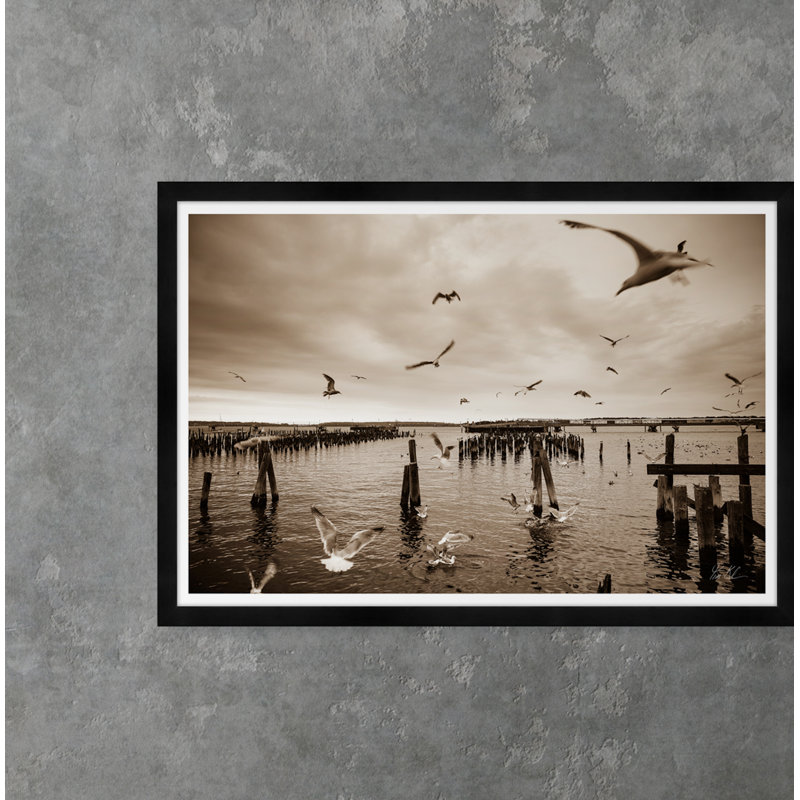 Gull Gathering In Sepia Print
