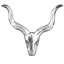 Animals Wall Decor-42615206