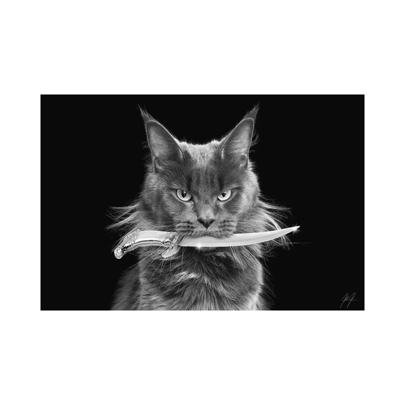 Killer Cat II by Kathrin Federer - Wrapped Canvas Print, 45.72cm H x 66.04cm W x 1.91cm D