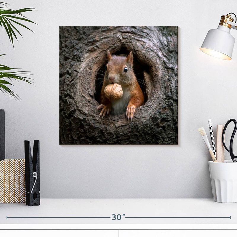 Brampt Squirrel In A Tree Hole