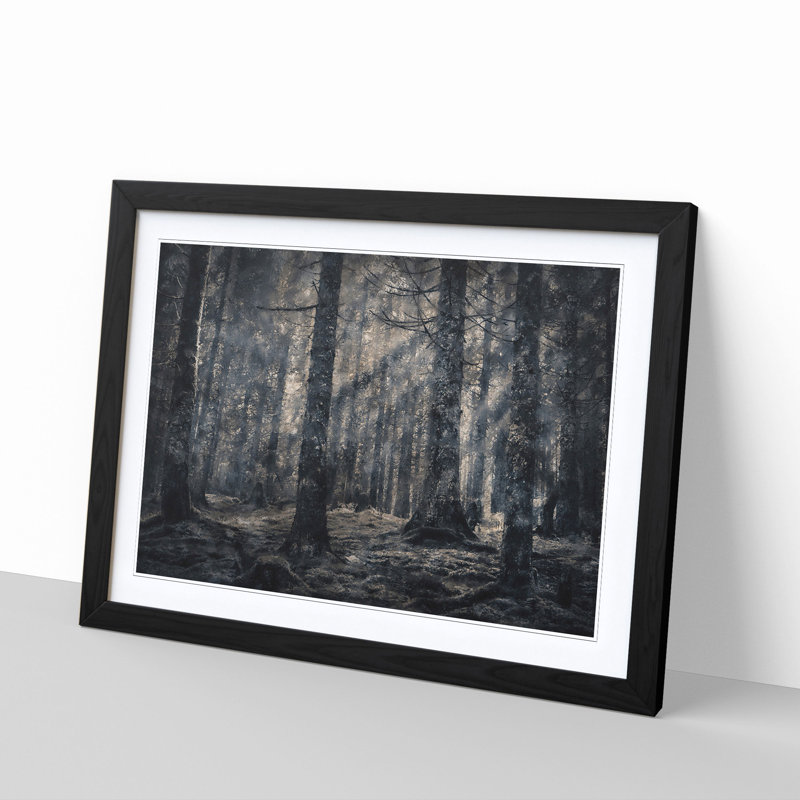Pine Tree Forest - Picture Frame Graphic Art Print, 24cm H x 33cm W x 2cm D, Black