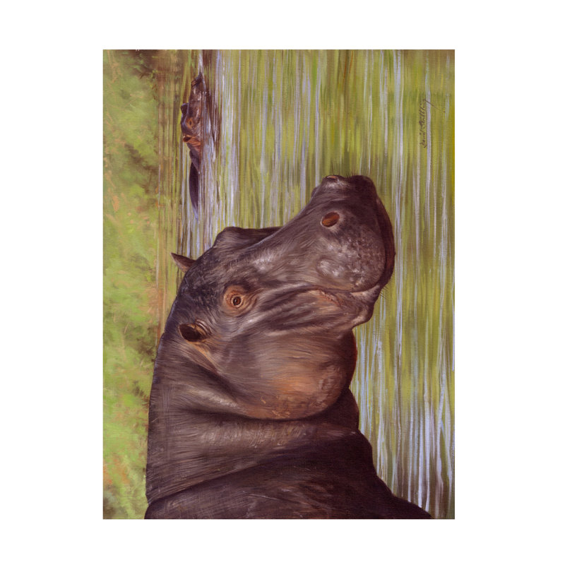 Art sur toile David Stribble HIPPO, H 14 po x l 19 po