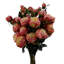 Plastic, Silk Artificial Arrangement-88685022