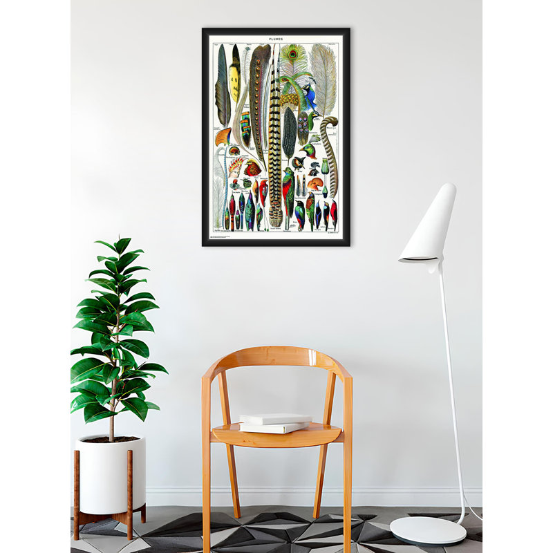  Plumes sous licence officielle - affiche d'art encadrée - 24 x 36 pouces - cadre en bois d'ingénierie robuste avec verre plexi - prêt à être accroché