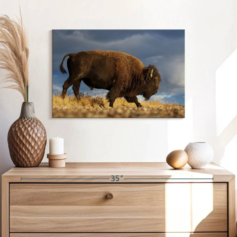 Brampt Walking American Bison, 16" H x 24" W