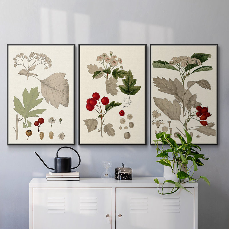 Feuilles et baies I, ensemble de 3 toiles encadrées, Cadre noir, H 40 po x l 78 po