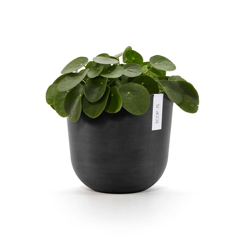 Pot à fleurs en plastique recyclé intérieur / extérieur Ecopots Oslo, H 8,5 po x l 10 po x P 10 po, Gris foncé