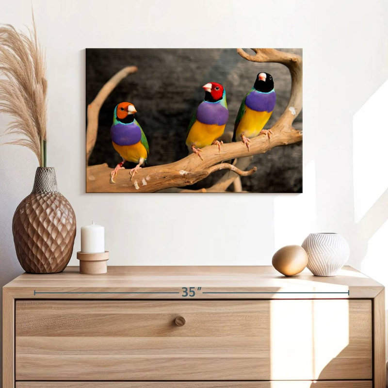 Rainbow Finches, 16" H x 24" W