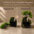 Bonsai-style Tabletop Fountain