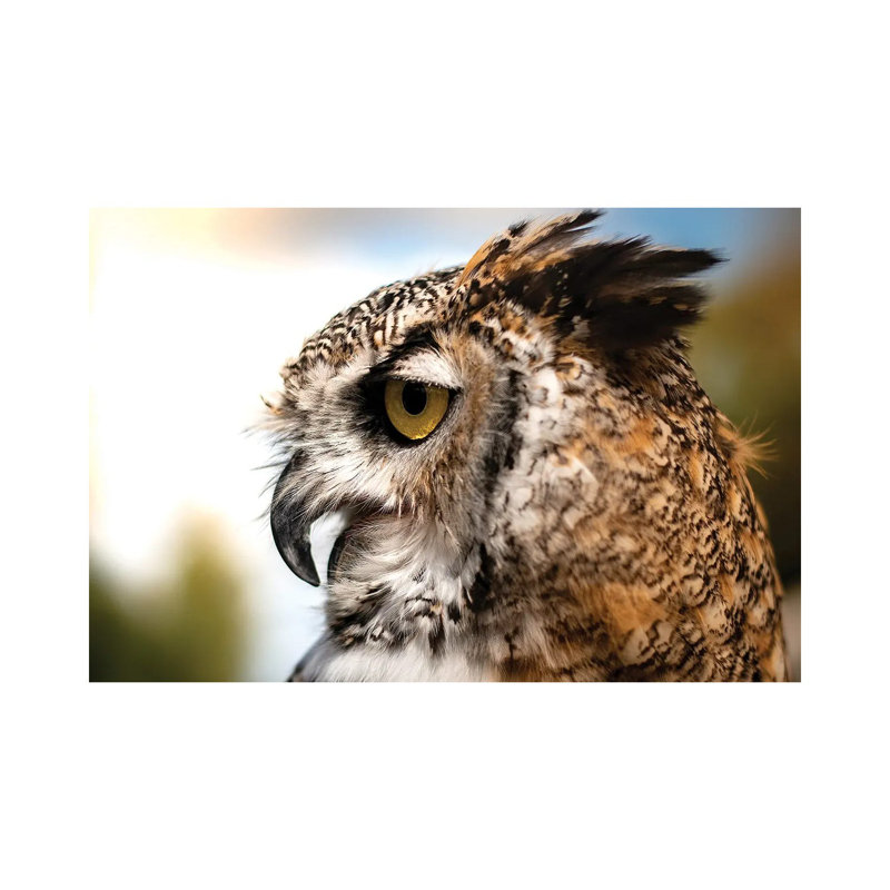 " Owl Profile " by Nik Rave, 18" H x 26" W x 1.5" D