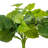 23" Green Artificial Pothos Bush
