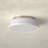 Calico Steel Flush Mount-1083368532-1083368524