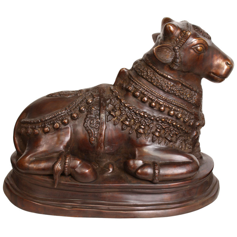 Le Nandi magnifiquement orné, Brun