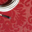 Tapis intérieur / extérieur Arneshia-20793849