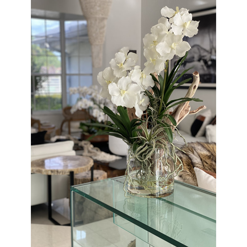 Vanda Orchids And Driftwood Inside Glass Cylinder