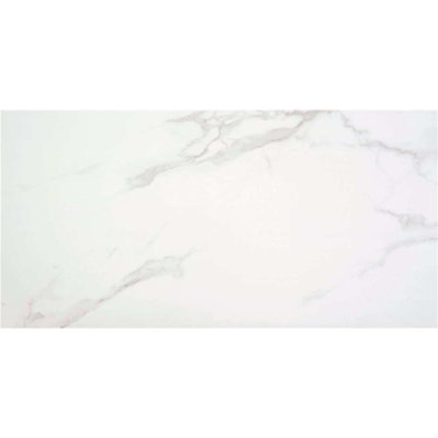 24" x 48" Porcelain Singular Wall & Floor Tile