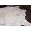 Tapis doré-20555959