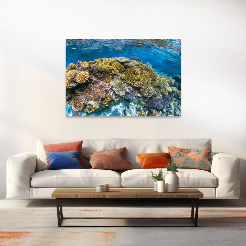 Impression murale Panoreef Ocean Tropical, H 40 po x l 60 po