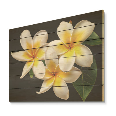 «Dreamscape Plumerias P pureté», art sur bois de pin naturel de Plumeria