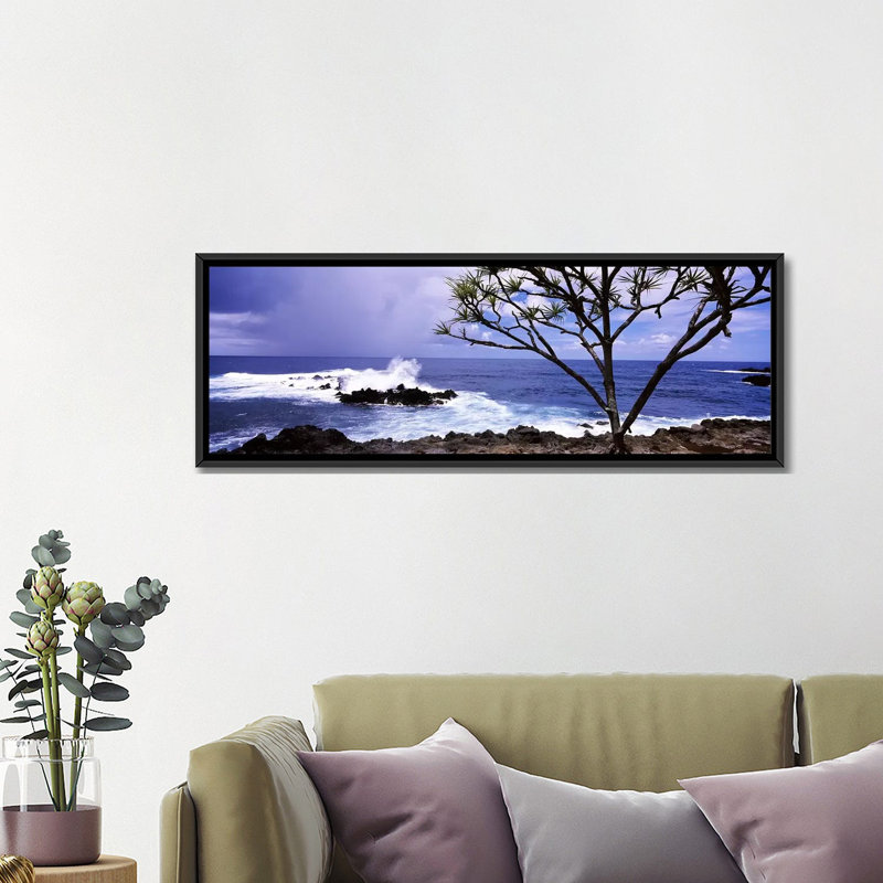 «Panoramic Tree on the Coast, Honolulu Nui Bay, Nahiku, Maui, Hawaii», reproduction de photo sur toile tendue, Cadre noir