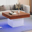 Sohna Coffee Table with Storage