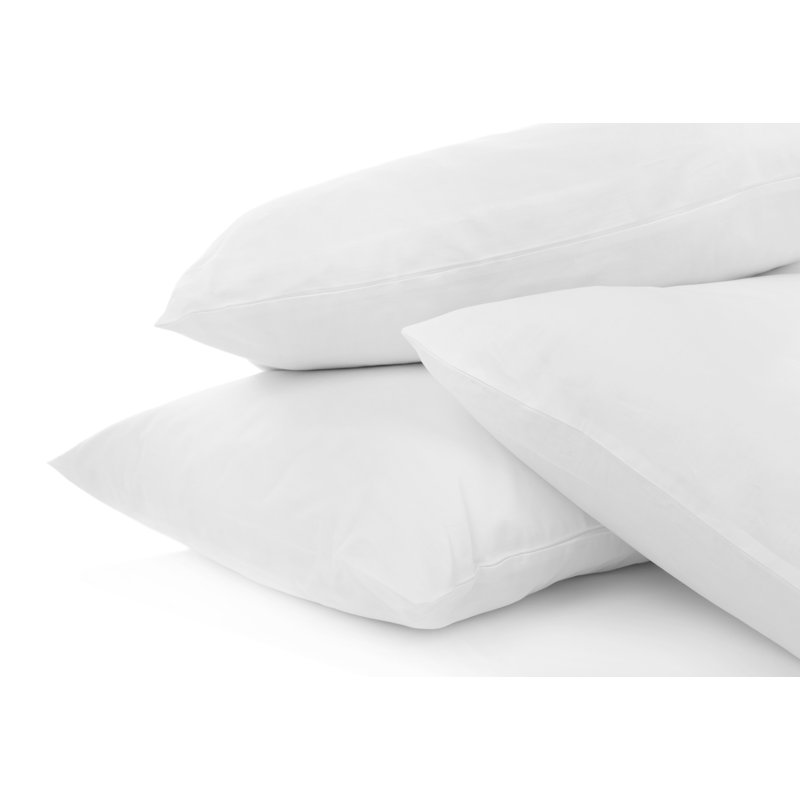  Coussin en duvet de coton biologique 20 po, 26 po x 26 po