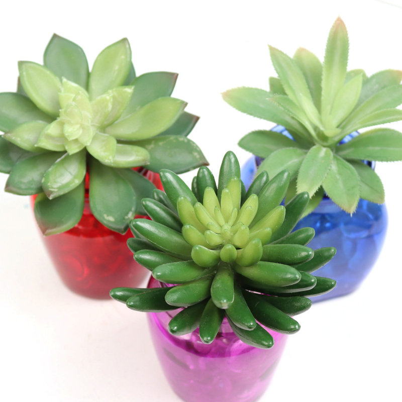 6.5 " H Faux Succulent Plant