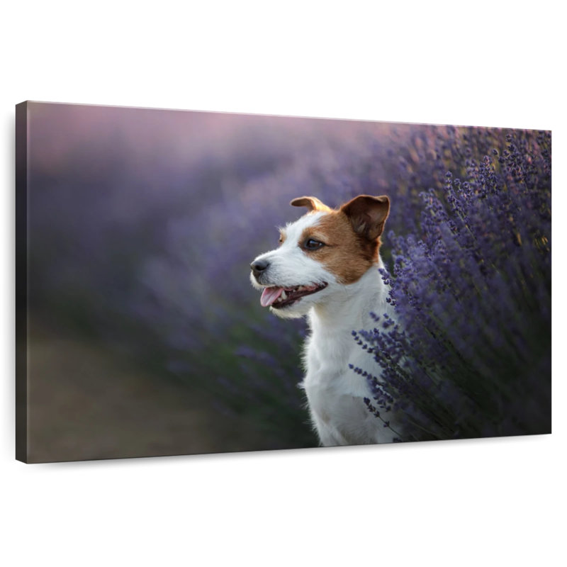 Brampt Lavender Field Dog, 30" H x 45" W