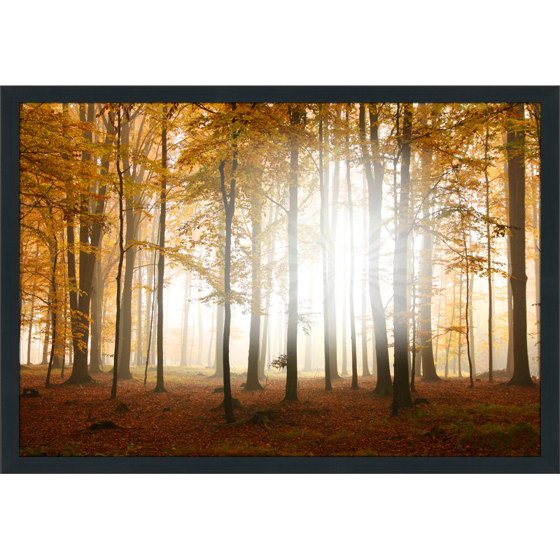Single Picture Frame Photograph, 35.5" H x 51.5" W x 0.75" D