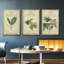 «Midnight Tulip I», ensemble de 3 toiles encadrées-97708749-97708750