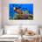 Brampt Royal Angelfish-107850760