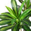 Ryse Faux Tree-799100382