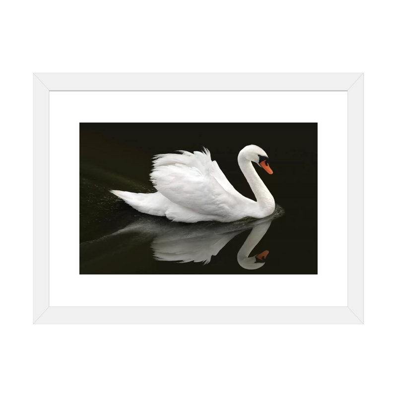 « Swan » par Ben Heine-reproduction de photo, H 16 po x l 24 po x P 1 po, Papier encadré blanc, Blanc