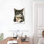 Brampt Purrfect Morning-106971093