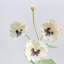 Silk Pansy Faux Floral-885262287