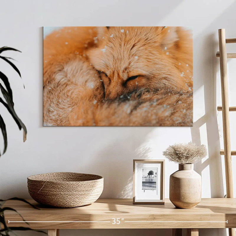 Renard moelleux Brampt, H 16 po x l 24 po