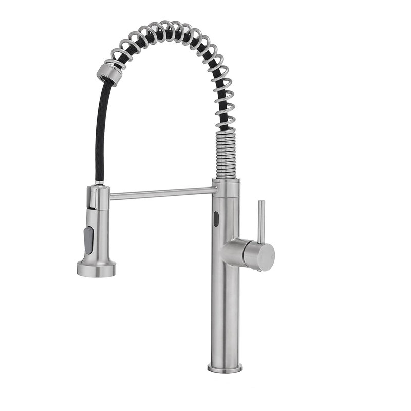 Kitchen Faucet