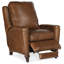 Rylea Power Recliner with Power Headrest-254556014-254556009