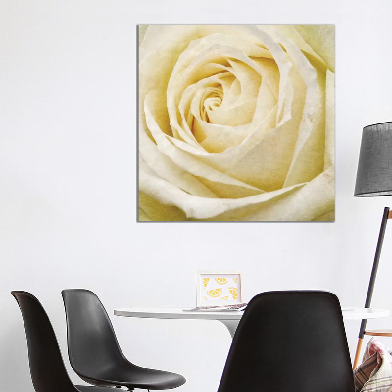 Wall Flower III by Alonzo Saunders - Wrapped Canvas Print, 93.98 cm H x 93.98 cm W x 1.91 cm D