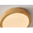 Kadeyn LED Flush Mount-892082867-920874763