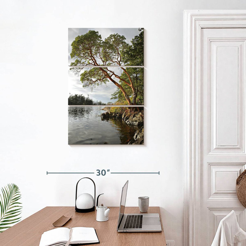 Arbousier Harnek au bord de l'eau, H 32 po x l 20 po