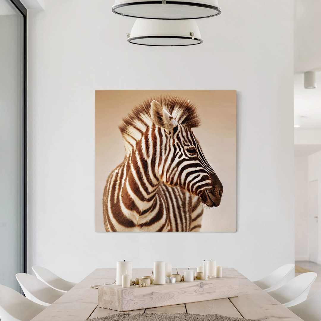 Baby Zebra Porträt - Foto auf Leinwand drucken