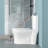 Ceramic One Piece Toilet For Bathroom, 12-Inch Rough-In, 1.1/1.6 GPF, Dual Flush With Soft Clsoing Seat, Powerful Dual Flush