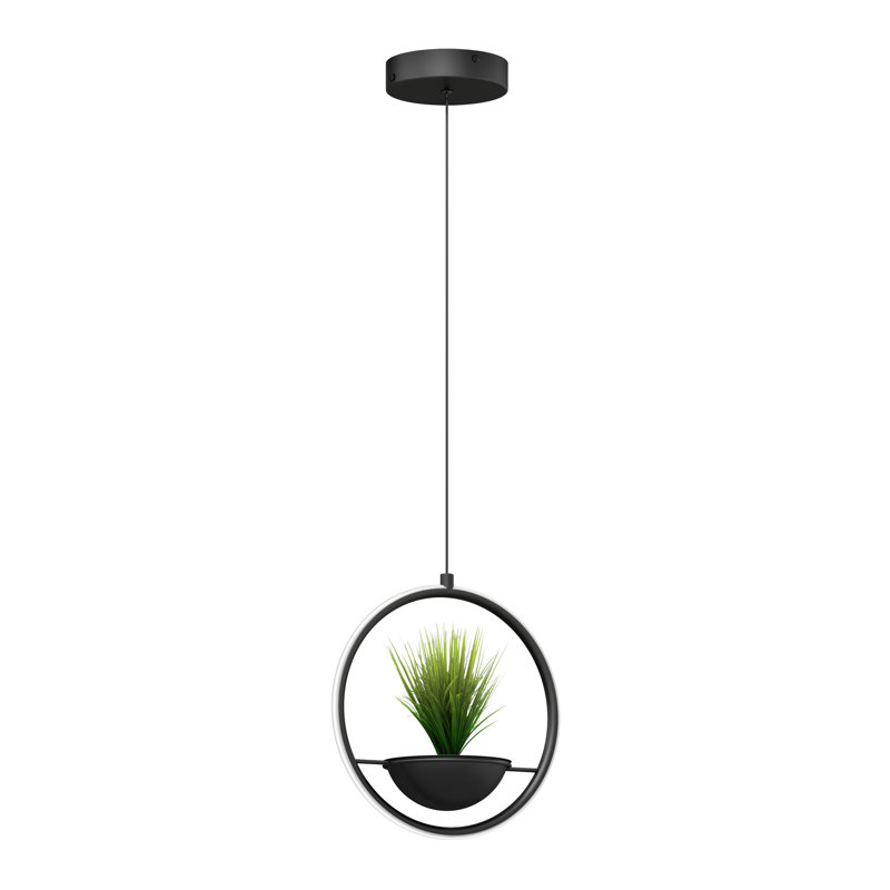 Wrought Studio™ Litta Modern Planter and Pendant light, Matte black