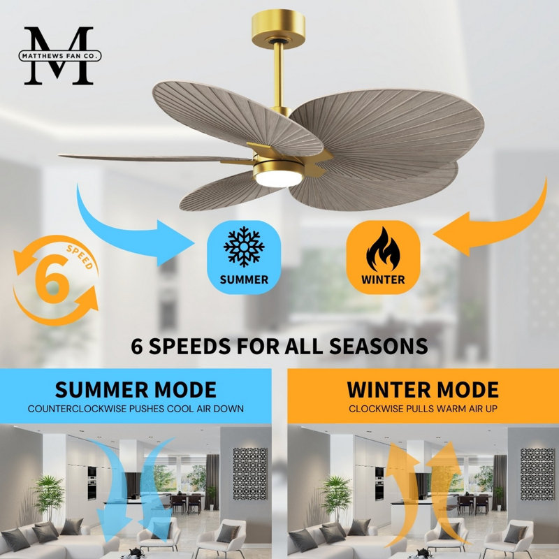 Alessandra Tropical - Five Blade Ceiling Fan - Integrated LED -Matte Black Finish -Light Blue Blades, Gray Ash Tone