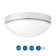 Glass LED Flush Mount