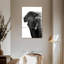 Éléphant d'Afrique ridé Brampt-108522546