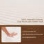 Canapé Boneless Compression-446231835