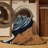 Washable Large billed Crow Birds Area Rug-1509241394